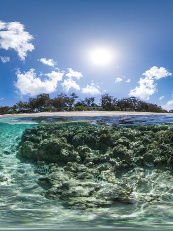 tropisch eiland
