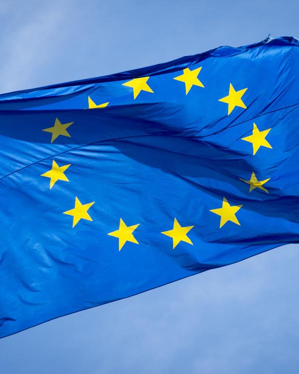 de europese vlag