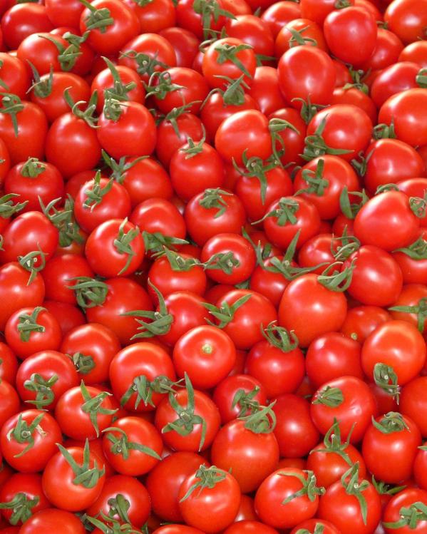 tomaten