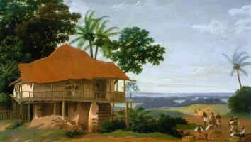 plantage in brazilie