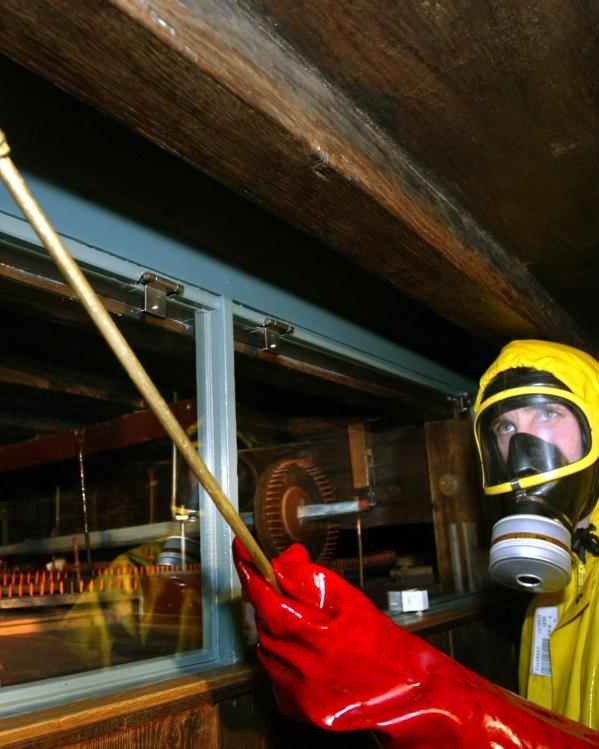 eisinga houtworm restauratie