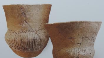 trechterbekercultuur