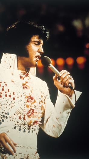 Elvis in concert