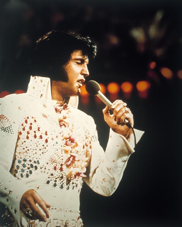 Elvis in concert