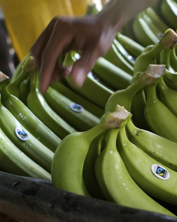 Havelaar keurmerk bananen