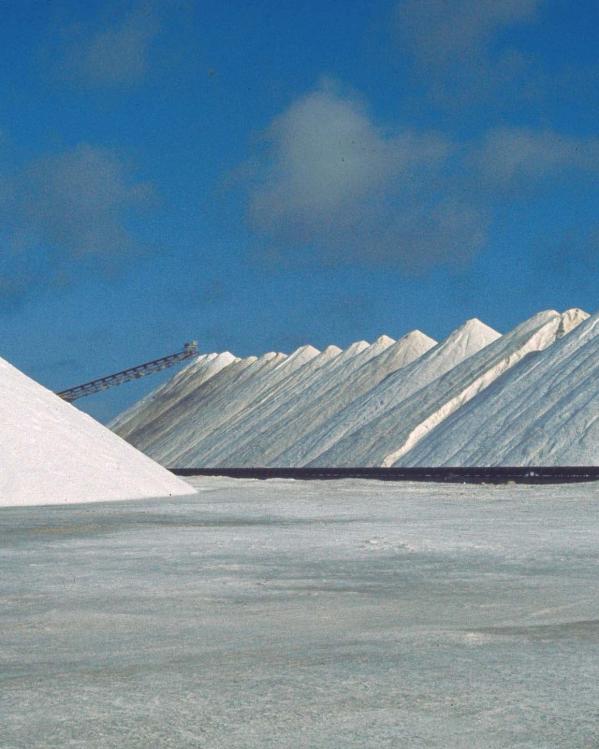 zoutwinning op bonaire