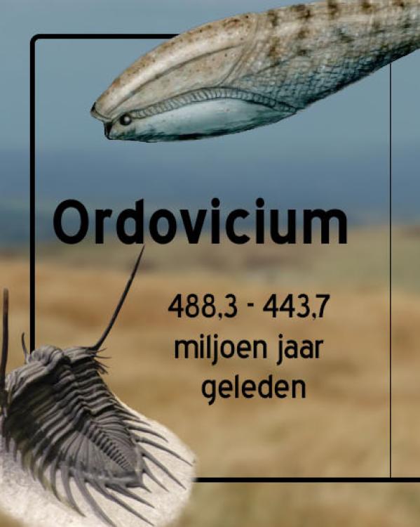 Ordovicium