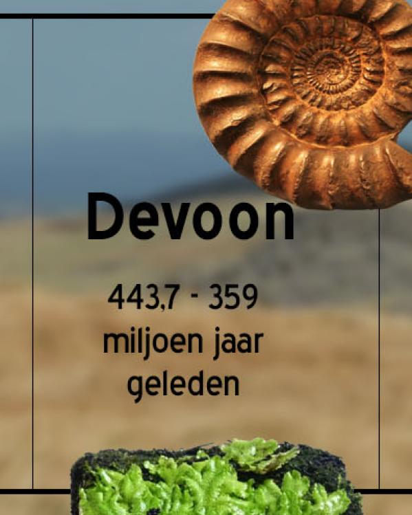 devoon