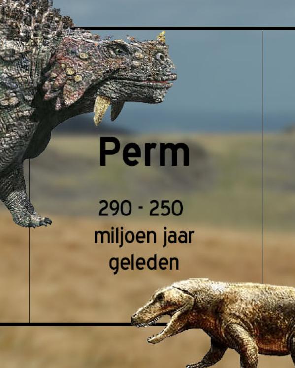 perm