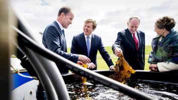 Het NIOZ Zeewiercentrum