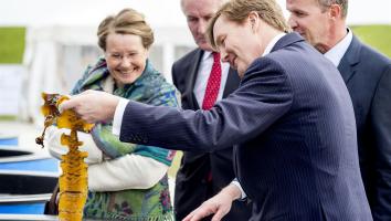 Het NIOZ Zeewiercentrum