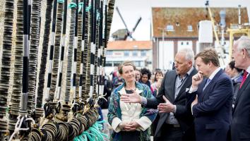 Het NIOZ Zeewier centrum