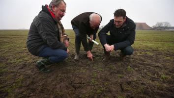 ecosysteem_muizenplaag