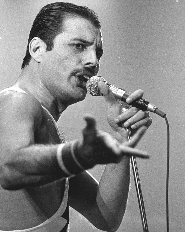 Freddie Mercury
