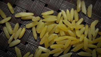 landbouw golden rice