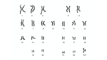 dna_chromosoom