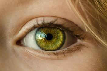 oog