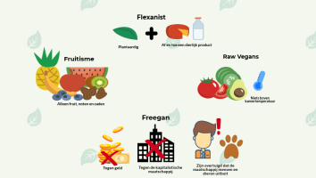 veganisme_infographic