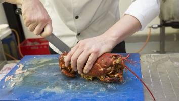 Start van het kreeftenseizoen