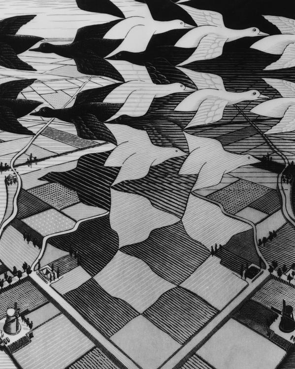 Dag & Nacht van M.C. Escher