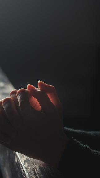 sekte_openingsafbeelding