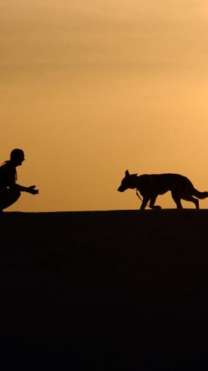silhouette van een man en een hond