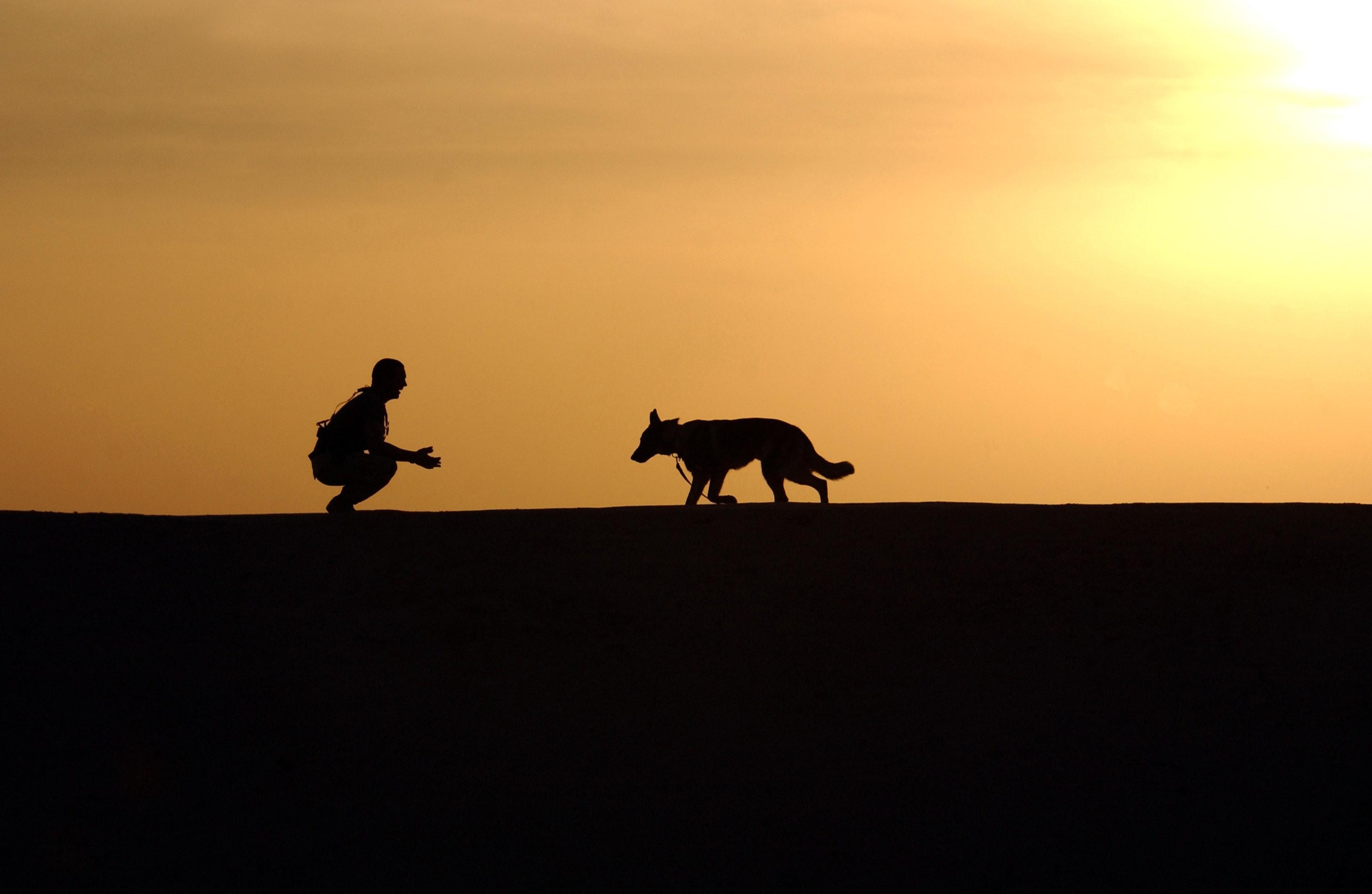 silhouette van een man en een hond