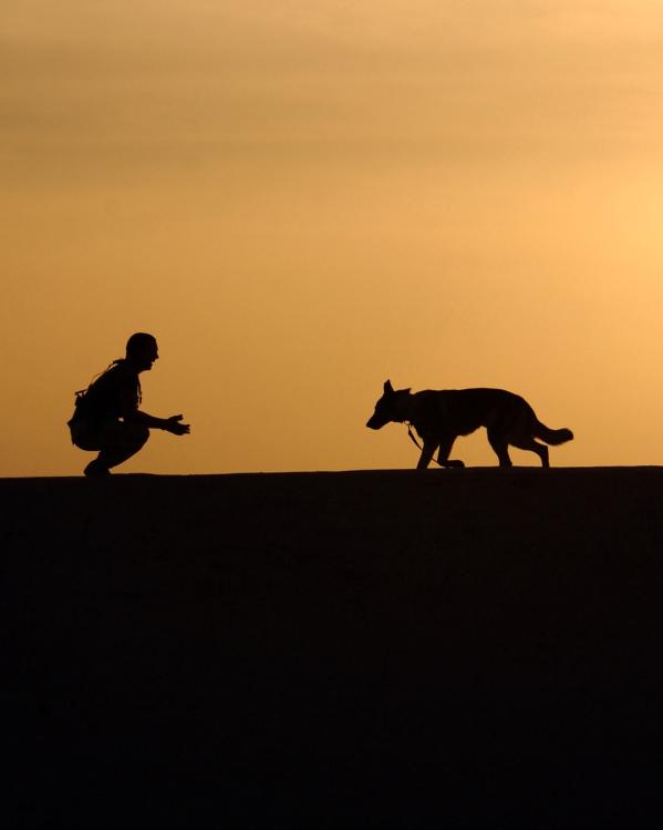 silhouette van een man en een hond