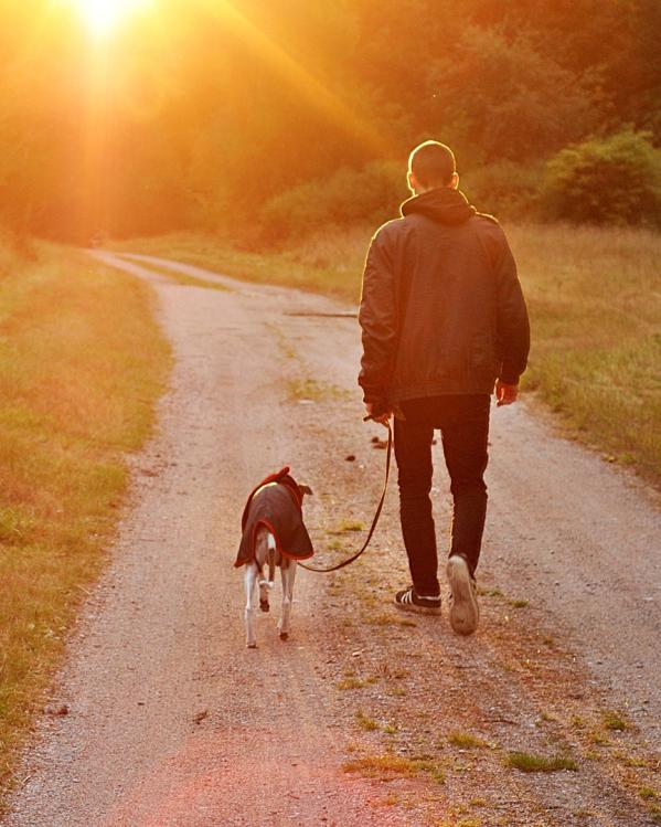 Man met hond op pad