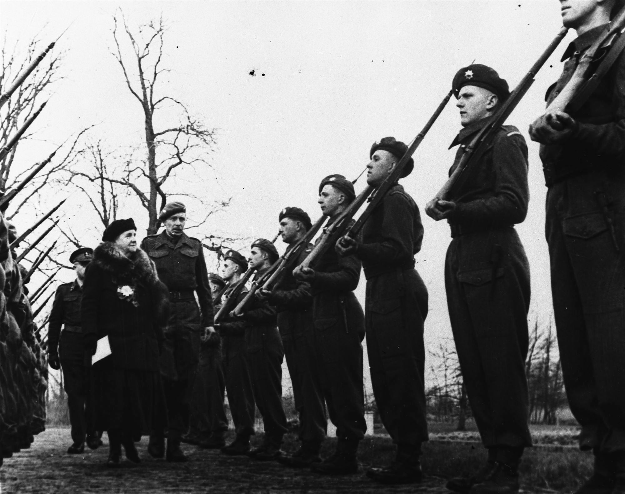 inspectie van de binnenlandse strijdkrachten door koningin wilhelmina 