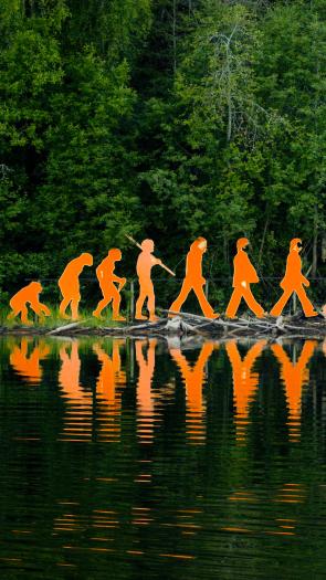 evolutie van de mens