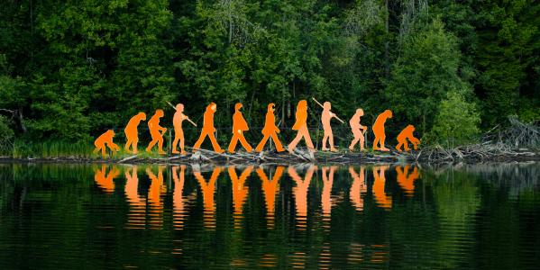 evolutie van de mens