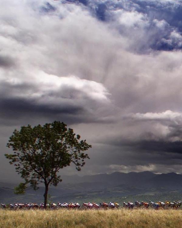 Peloton doorkruist het Franse land