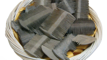 hoofdluis_romeinenkam