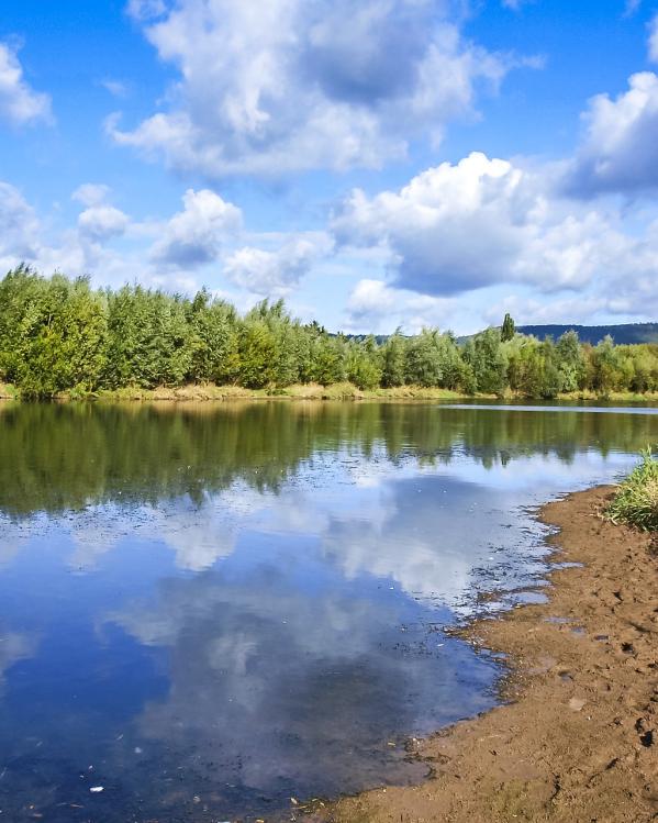 muggen komen veel voor aan het water