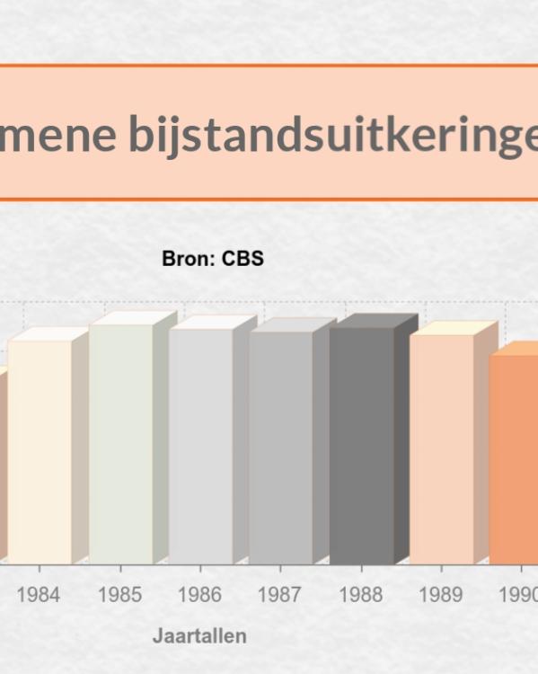 bijstandsfraude_infographic