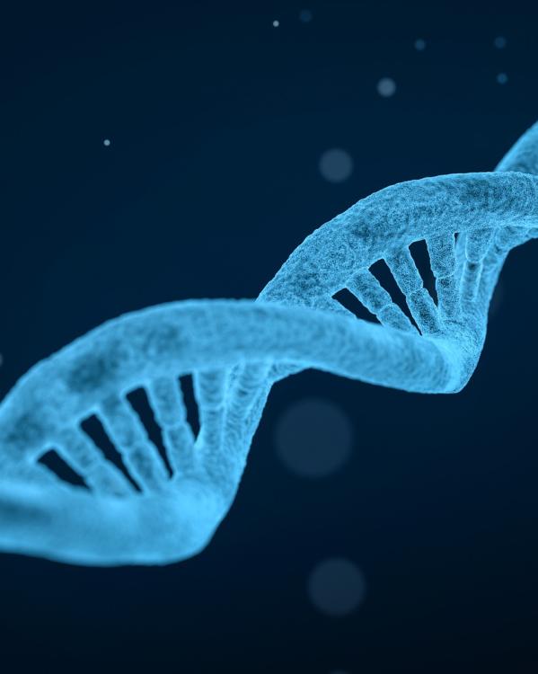DNA