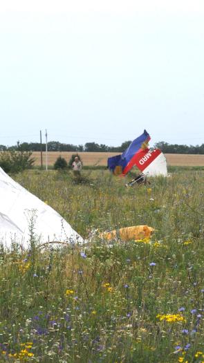 MH17