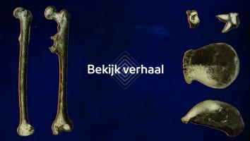 De Toren - Aap Mens - layover