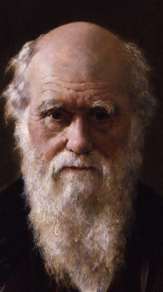 Charles Darwin - portret