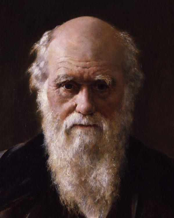 Charles Darwin - portret