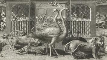 Blaauw Jan - dierentuin