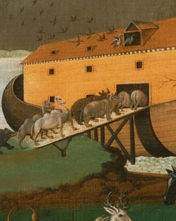 Ark van Noach