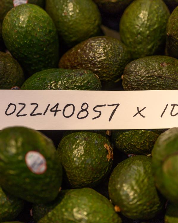 Avogadro_avocado