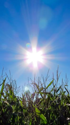 Energie_header Zon Header