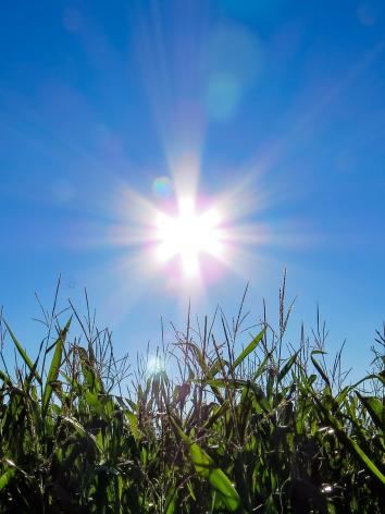 Energie_header Zon Header