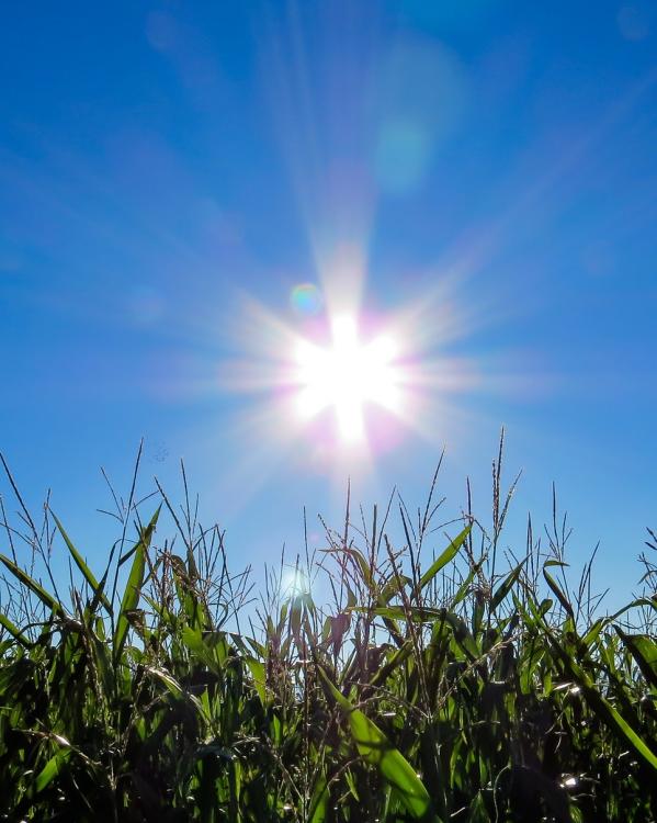 Energie_header Zon Header