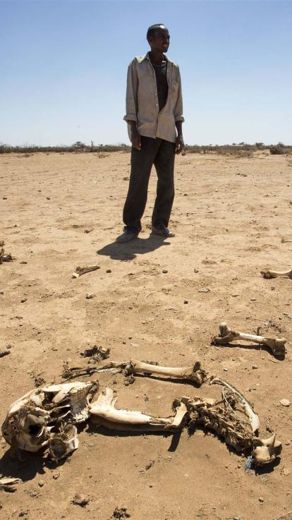 een man staat op een droge vlakte met uitgestorven vee