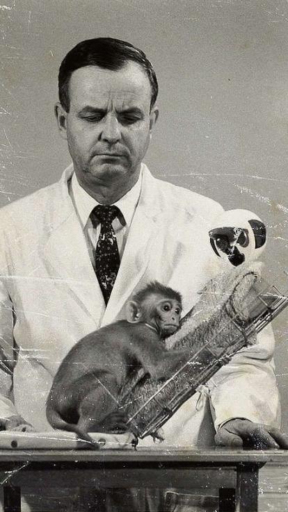 Harlow doet onderzoek naar belang van aanraking onder apen