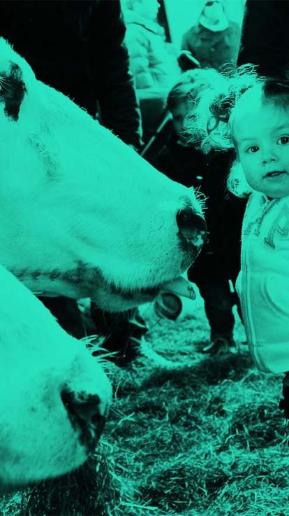 2_zoönosen_meisjestal